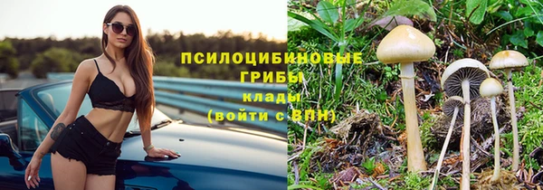 2c-b Куйбышев