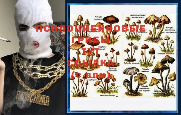 кокаин VHQ Бородино